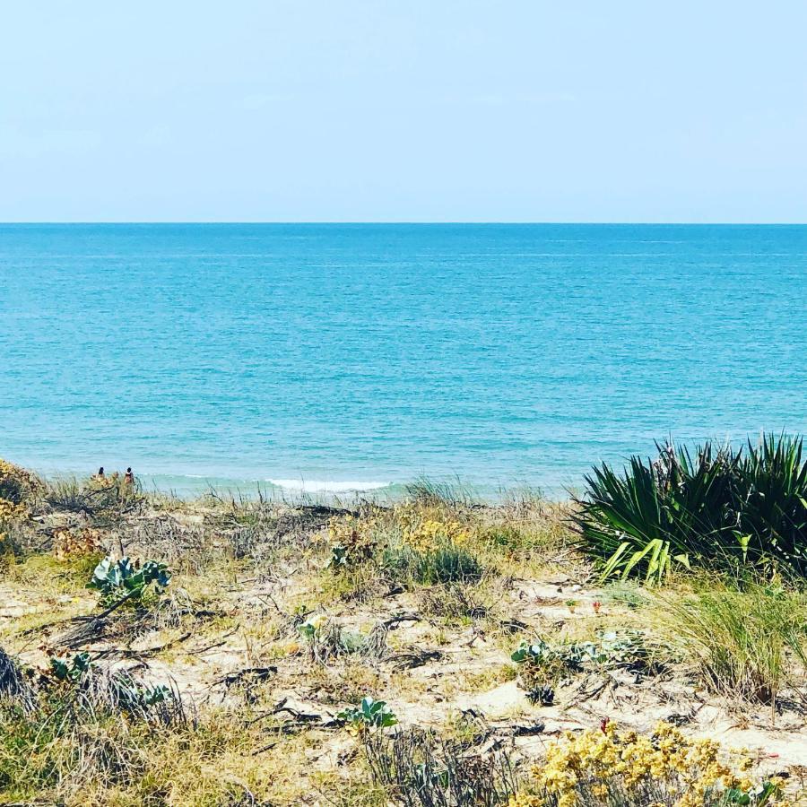 Appartement Rez-De-Chaussee Entre Dunes Et Ocean Lacanau Dış mekan fotoğraf