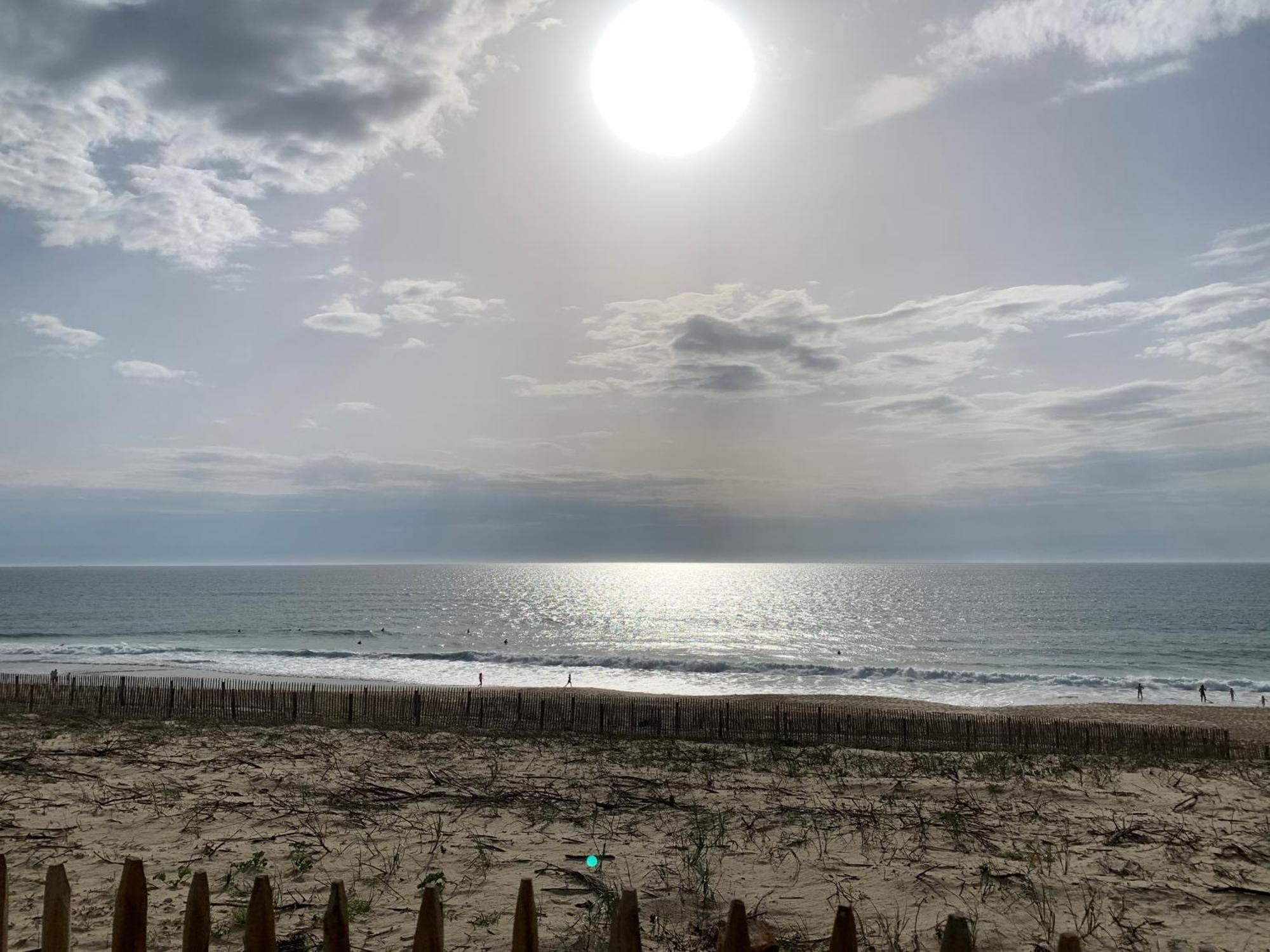 Appartement Rez-De-Chaussee Entre Dunes Et Ocean Lacanau Dış mekan fotoğraf